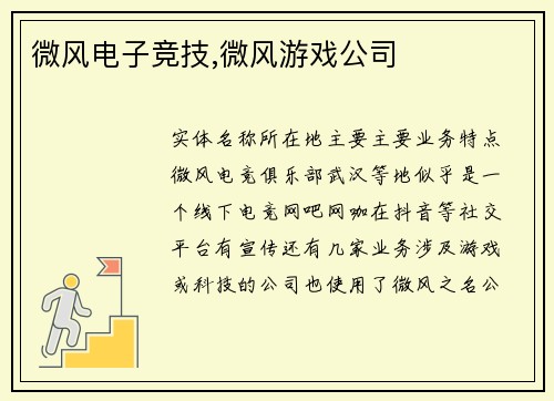 微风电子竞技,微风游戏公司
